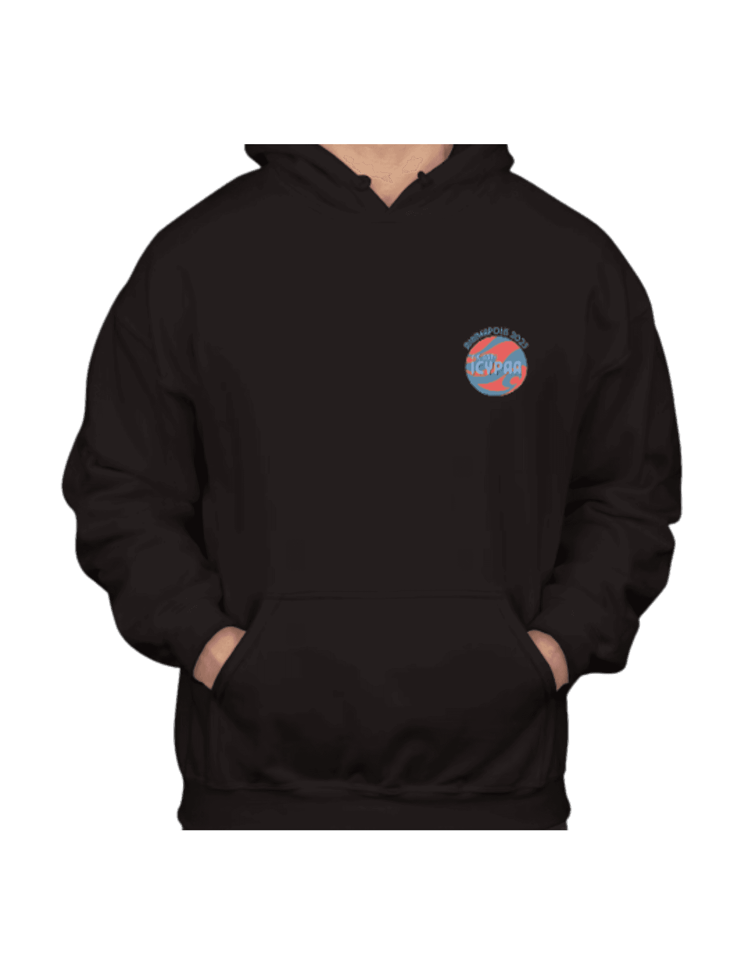65th ICYPAA Hoodie
